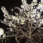 Retro Challenge And Garden Πράγα