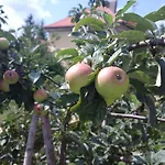 Retro Challenge And Garden Πράγα