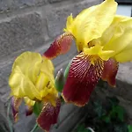 Retro Challenge And Garden Прага