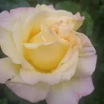 Retro Challenge And Garden Гостевой дом Прага