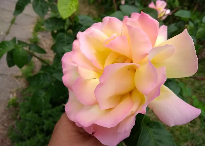 Retro Challenge And Garden Pensjonat 3*