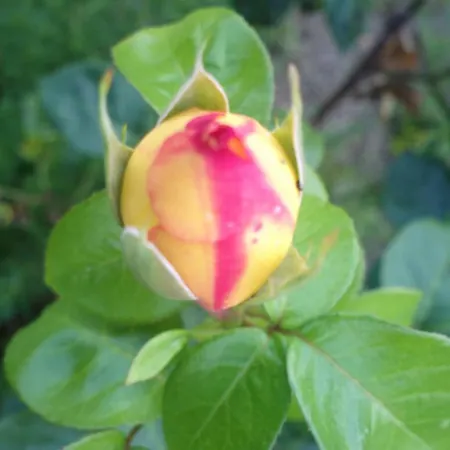 Pensjonat Retro Challenge And Garden